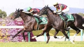 【毎日杯】良血シャフリヤールが重賞初V！全兄はアルアイン