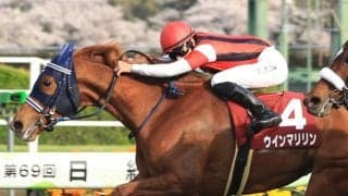 【日経賞】横山武「結果を残したいという一心」ウインマリリンが重賞2勝目
