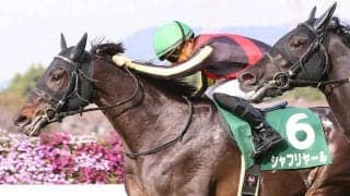 【毎日杯】川田「勝ち切ることが出来て何よりです」良血シャフリヤールがV