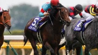 【次走】インディチャンプは香港辞退