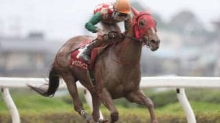 【ティアラC】レイナブローニュが抜け出して準重賞V！