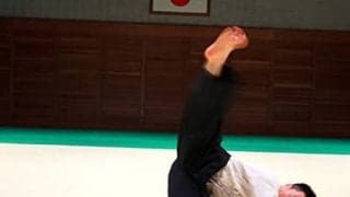 『呪術廻戦』の虎杖悠仁が駆使する躰道とは？ 達人がバトルと作品の魅力を語る