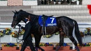 【皐月賞】ステラヴェローチェは吉田隼人騎手との新コンビ