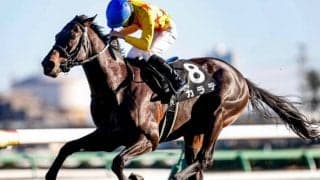 【ダービー卿CT】カラテが爪の不安で回避