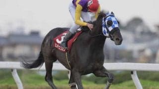 【武蔵国OP】センチュリオンが人気に応えて準重賞勝利