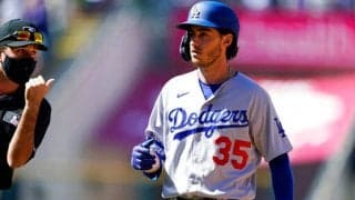 【MLB】「酷いルール」「馬鹿げている」　ドジャース主砲の本塁打が“幻”に