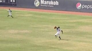 日ハム万波の肩が「バケモンすぎ」　“激伸びレーザービーム”にファン驚嘆