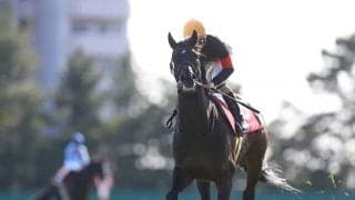 【大阪杯予想】コントレイルでもグランアレグリアでもないAIの本命候補が番狂わせを演出する/JRA重賞レース展望