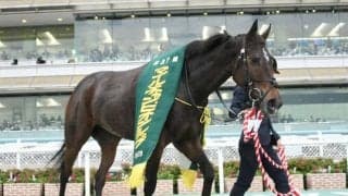 【本日の注目ポイント】豪華メンバー集結の大阪杯