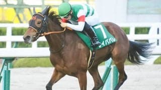 【大阪杯予想】有力馬解説とコントレイルとグランアレグリアの優劣を判断するポイント