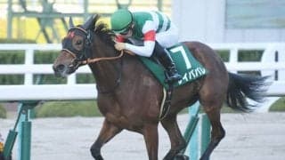 【大阪杯】レイパパレ高野師「今回は満足する仕上がりです」/ねぇさんのトレセン密着