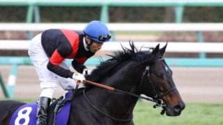 【JRA】落馬負傷の大野拓弥騎手は日曜も全鞍乗り替わり　大阪杯ペルシアンナイトは幸英明騎手に