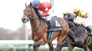 【山吹賞結果】アオイショーが突き抜け快勝