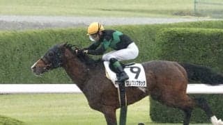 【阪神6R】キタサンブラック全弟 エブリワンブラックが2勝目