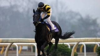 【水沢・スプリングカップ】リュウノシンゲンが２着馬に９馬身差を付ける圧勝！
