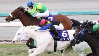【桜花賞登録馬】白毛馬ソダシなど24頭が登録