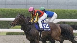 【大阪杯】ルメール「良馬場なら」レース後ジョッキーコメント