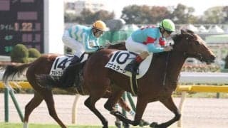 【ニュージーランドT登録馬】アヴェラーレなど22頭が登録