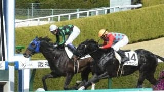 【ニュージーランドT展望】混戦のNHKマイルCトライアル、あの穴馬に期待