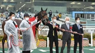 【大阪杯】売上は162億7858万6800円で昨年から増加