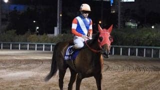 【マリーンC】サルサディオーネは1枠1番