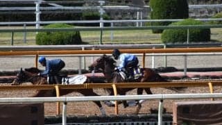 ダノンザキッド、皐月賞1週前追い切り速報/栗東トレセンニュース