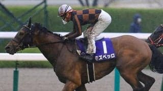 【次走】大阪杯2着モズベッロは宝塚記念へ、引き続き池添謙一騎手とコンビ