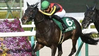 【次走】毎日杯をレコード制覇のシャフリヤールは日本ダービーを視野に調整