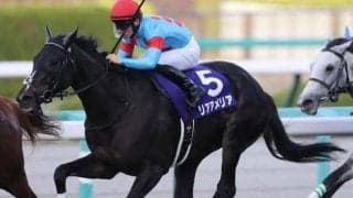 【阪神牝馬S展望】近年は巻き返しも多いヴィクトリアMの前哨戦
