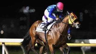 【船橋・ブルーバードC結果】5番人気のオークハンプトンが準重賞勝利