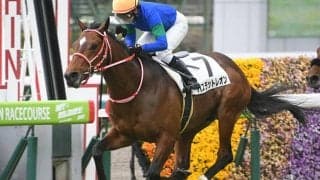 【ニュージーランドＴ予想オッズ】バスラットレオンが予想1番人気