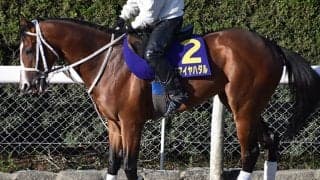 【皐月賞】アドマイヤハダルの鞍上はC.ルメール騎手に、オーソクレースの回避で