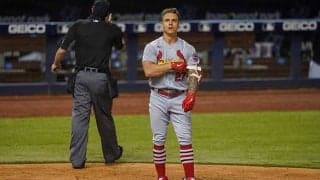 【MLB】まさかの珍事で試合中断　ガラス粉々“ド迫力ファウル”に米悲鳴「速報：壊れました」