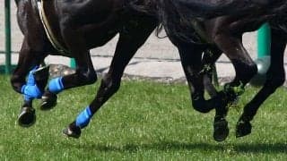 海外競馬で落馬危機　騎手の“空中リカバリー”に英驚き「素晴らしいバランス感覚」