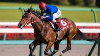 【ニュージーランドT】バスラットレオンが圧逃！5馬身差完勝