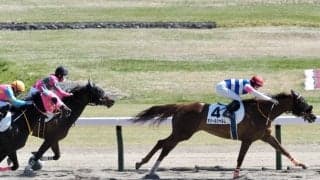 【新潟7R】藤田菜七子−永島まなみ、史上初のJRA女性騎手ワンツー！