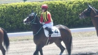 【新潟6R】菜七子 今年の4勝目！ピクシーカットで豪快な差し切りV