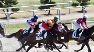 【新潟4R】女性騎手競演、2レース目は古川9着、菜七子11着、永島12着