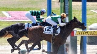 【新潟3R】女性騎手3人が初競演！最先着は古川奈穂騎手