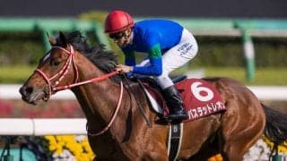 【ニュージーランドT】藤岡佑「最後は流す余裕」バスラットレオンが圧逃！