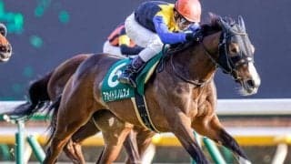 【本日の注目ポイント】牝馬クラシック第一弾・桜花賞