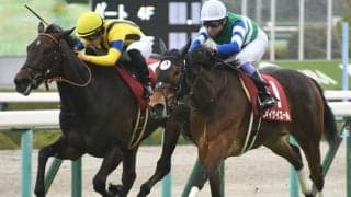 【桜花賞予想】狙いたい中穴で消去条件に該当したのは、チューリップ賞で好走したこの馬/JRAレース展望