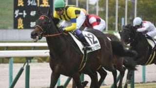 【桜花賞】エリザベスタワー高野師「牝馬らしからぬ馬格がある」/ねぇさんのトレセン密着