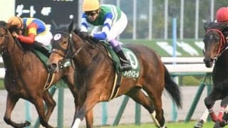 【桜花賞】メイケイエール武英師「一度全部リセットしてシンプルな感じで」/ねぇさんのトレセン密着