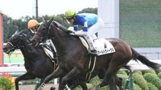 【桜花賞予想】気候と脚質が導き出した、中穴＋大穴激走馬/JRA重賞レース展望