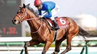 【ニュージーランドT結果】バスラットレオンが5馬身差圧勝！ いざGIへ