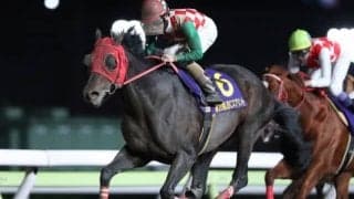 【大井・東京スプリント枠順確定】リュウノユキナは4枠6番、サブノジュニアは5枠9番