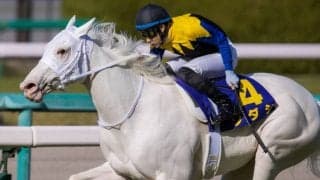 【桜花賞】白毛馬が史上初クラシック制覇！ソダシが無傷の5連勝