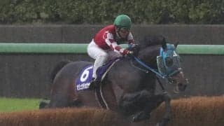 【中山グランドJ登録馬】オジュウチョウサンなど8頭が登録