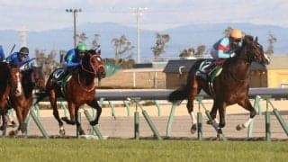 【アーリントンC登録馬】ピクシーナイトなど19頭が登録